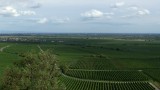 [Panorama]